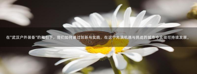 先锋娱乐账号注册不了