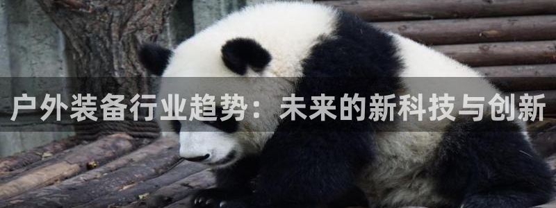 先锋娱乐股票