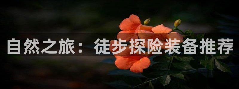 先锋娱乐大厅牛牛