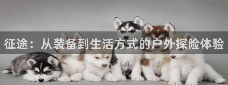 先锋娱乐平台