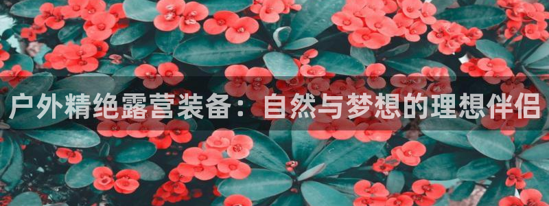 先锋娱乐手机