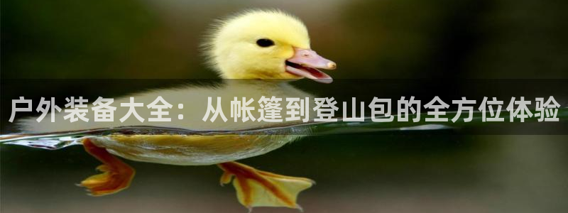 先锋娱乐公司