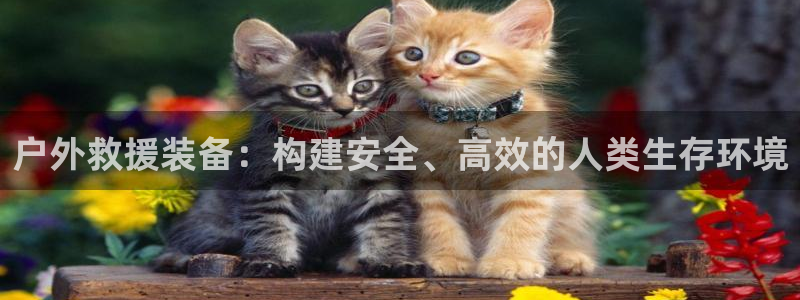 先锋娱乐情报