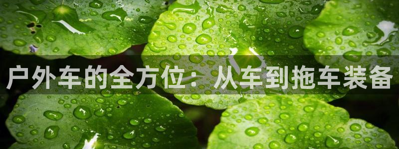 先锋电子车载娱乐系统