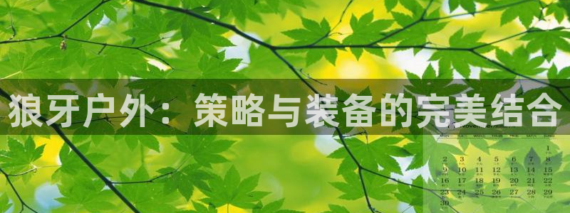 先锋娱乐游戏软件