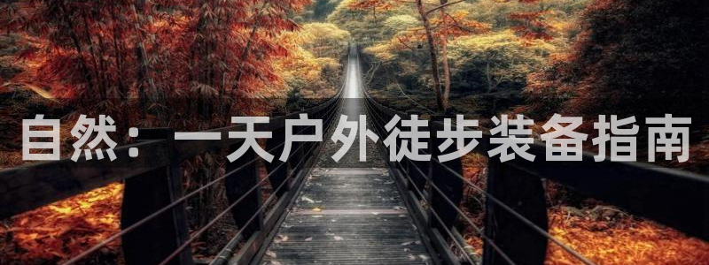 先锋娱乐在线