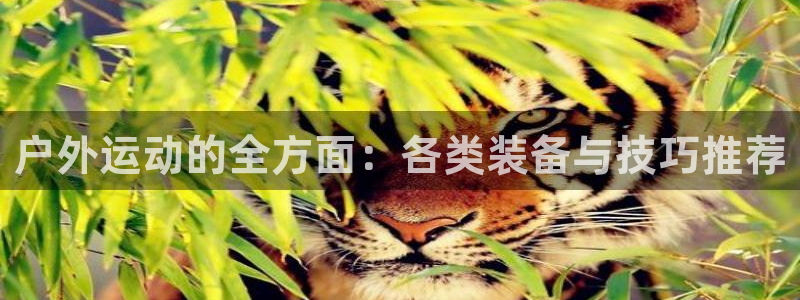吉林先锋娱乐