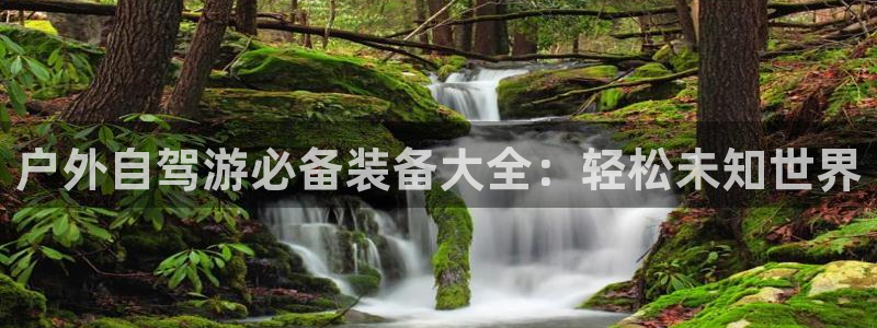 先锋娱乐股票
