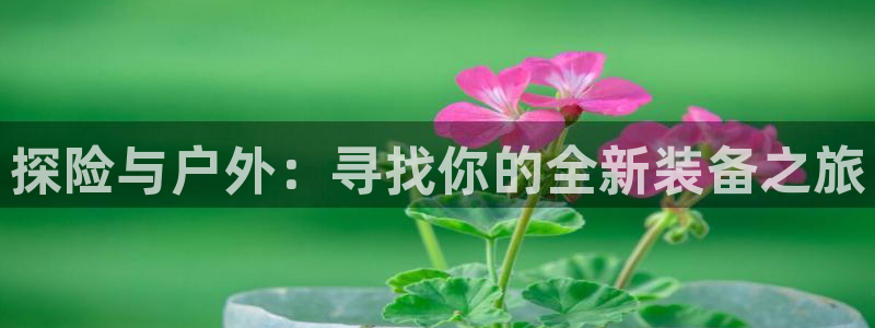 先锋娱乐