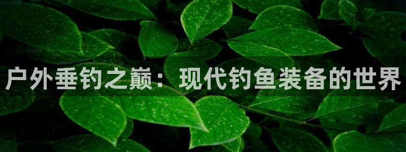 先锋娱乐侠