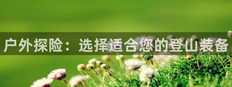 先锋娱乐集团公司