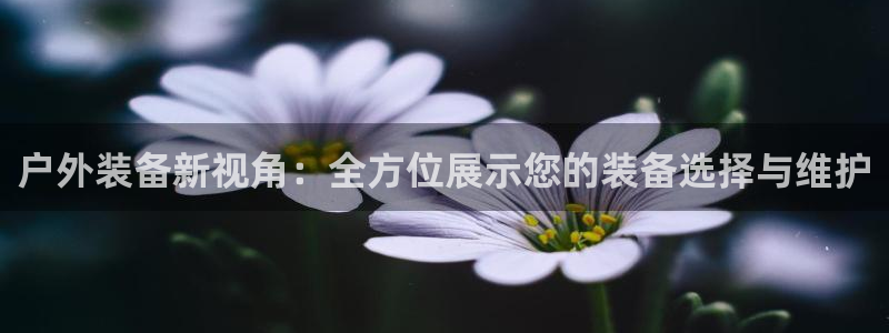 先锋综合娱乐