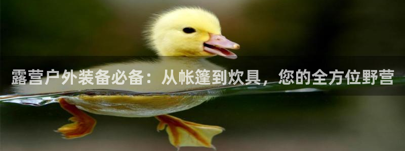 先锋娱乐客服