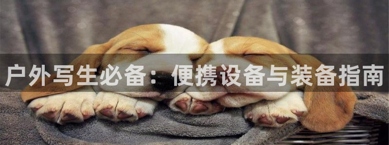 先锋娱乐软件