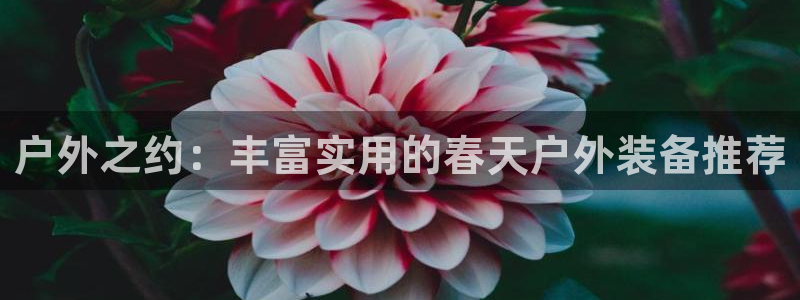 先锋娱乐公司