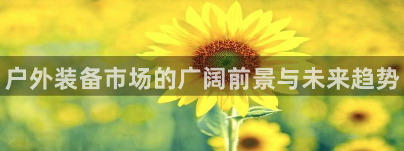 先锋娱乐公司正规吗吗