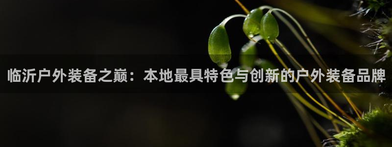 先锋娱乐官