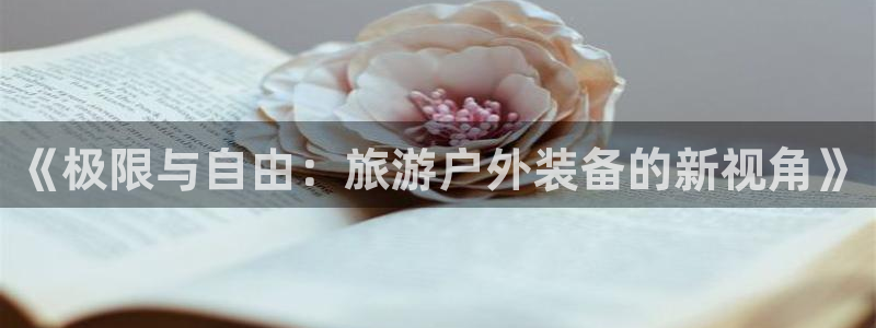 先锋支付娱乐城
