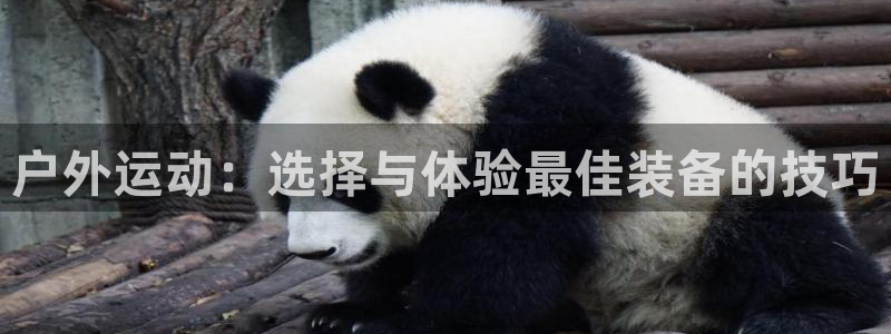 娱乐先锋捕鱼客服