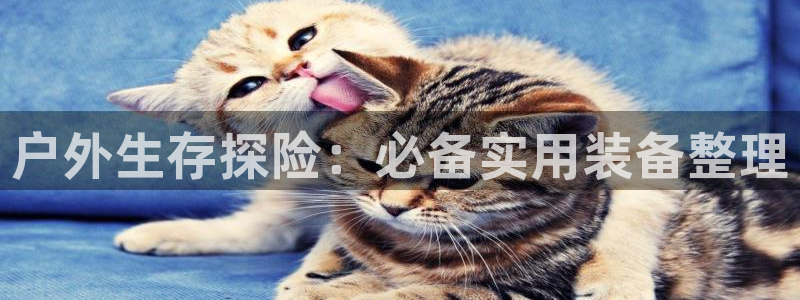 先锋娱乐大厅透视