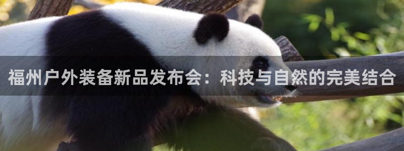 先锋娱乐资讯官网入口