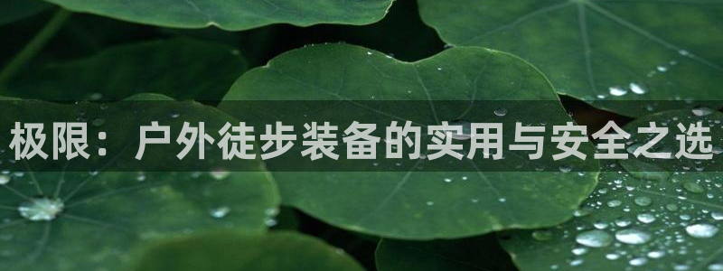 先锋娱乐电子游戏