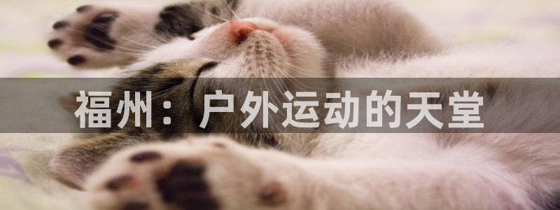 怎么下载先锋娱乐大厅