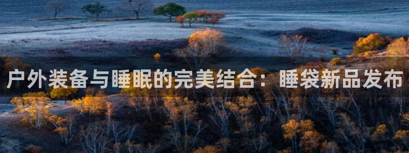 先锋娱乐邀请码多少位啊