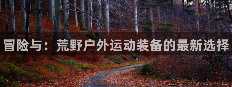先锋娱乐资讯官网入口