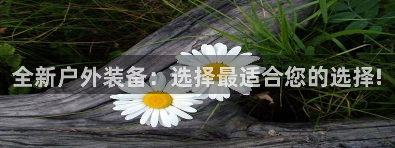 先锋娱乐垫付金额