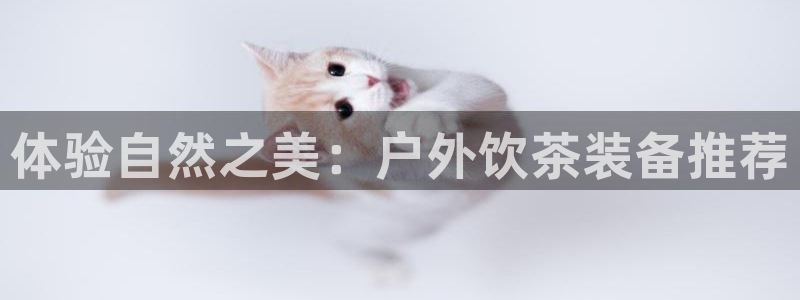娱乐先锋捕鱼客服