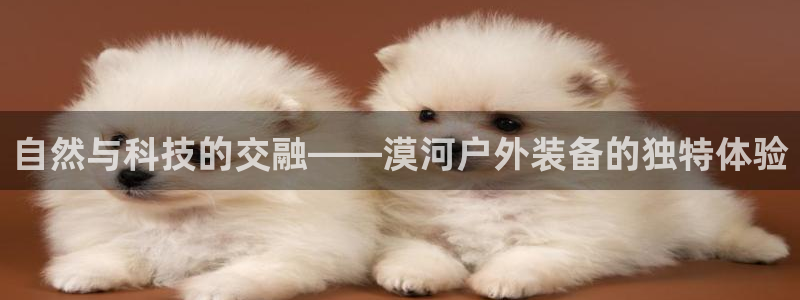 先锋娱乐游戏上分视频