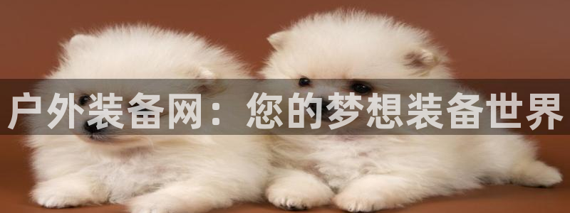 先锋娱乐网