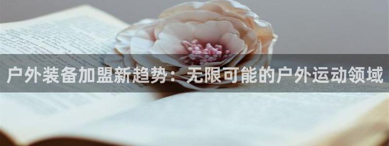 先锋娱乐电子游戏