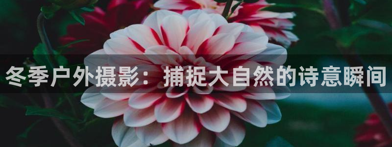 先锋娱乐平台