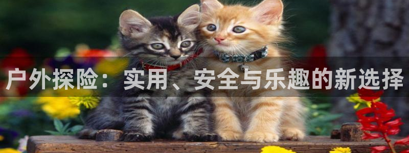 先锋娱乐游戏上分网址