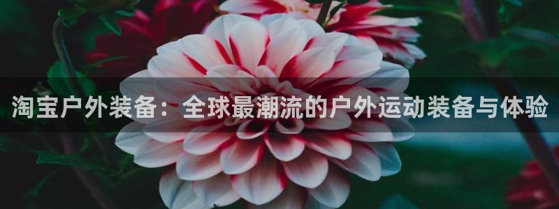 亚洲先锋娱乐行情