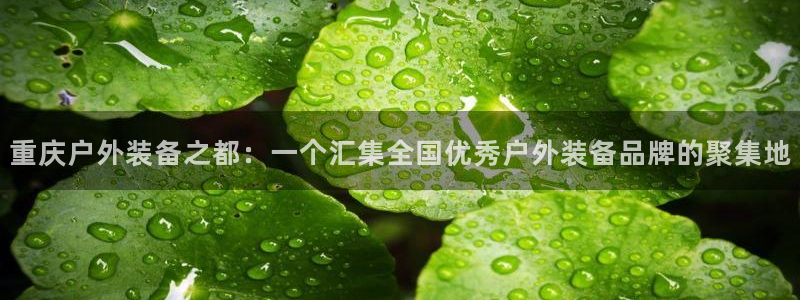 先锋娱乐资讯