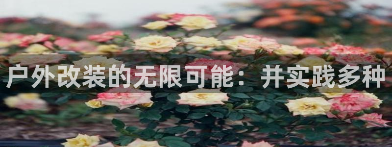先锋娱乐社