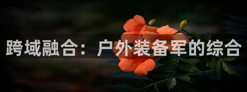 先锋娱乐理财logo