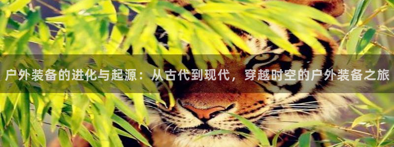 先锋娱乐官