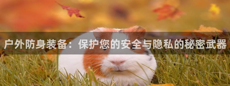 先锋娱乐大厅牛牛