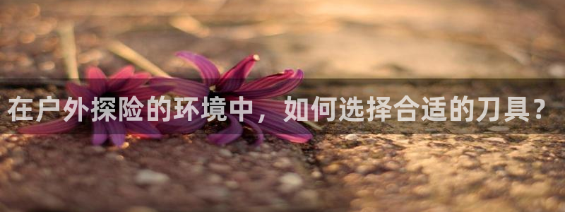 先锋娱乐体育管理集团