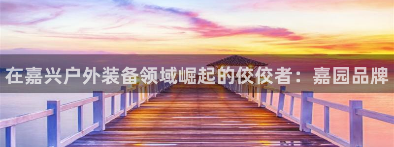 先锋方舟娱乐集团