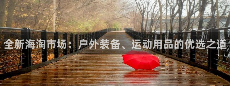 先锋娱乐简介图片