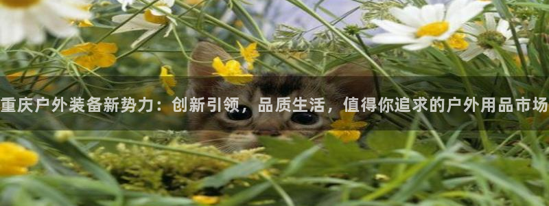 先锋娱乐公司正规吗吗