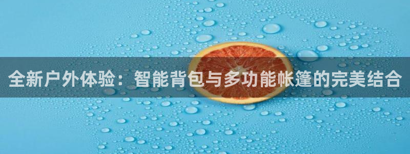 先锋娱乐简介图片