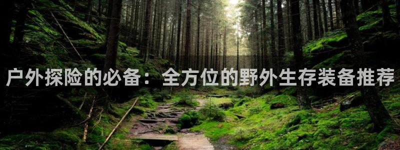 先锋支付娱乐城